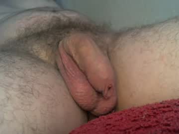 eznudist
