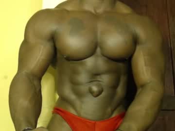 musclegodsammy2
