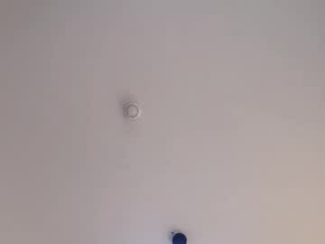 shellaspartin