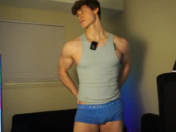 thestallionstud